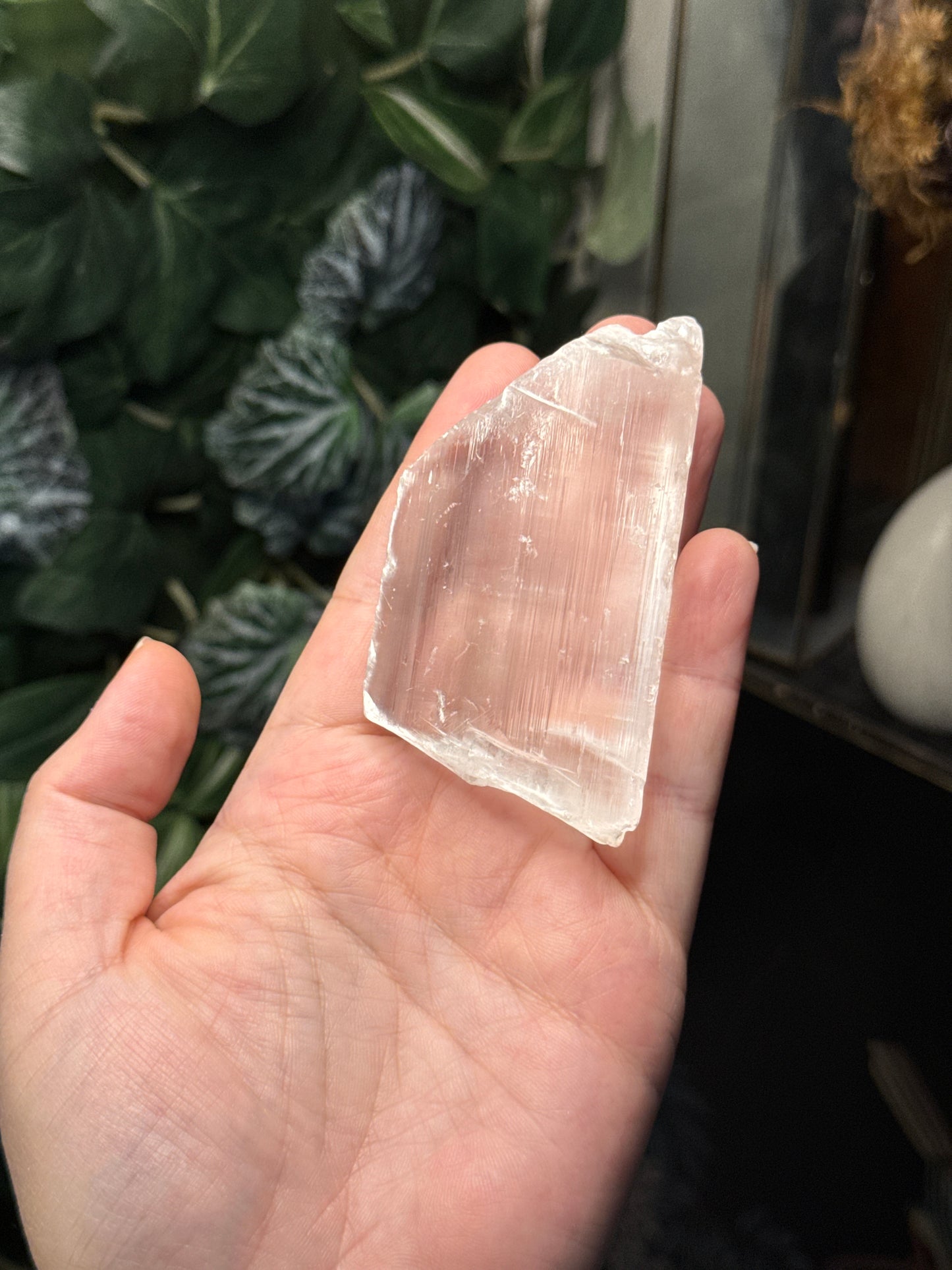 Windowpane Selenite