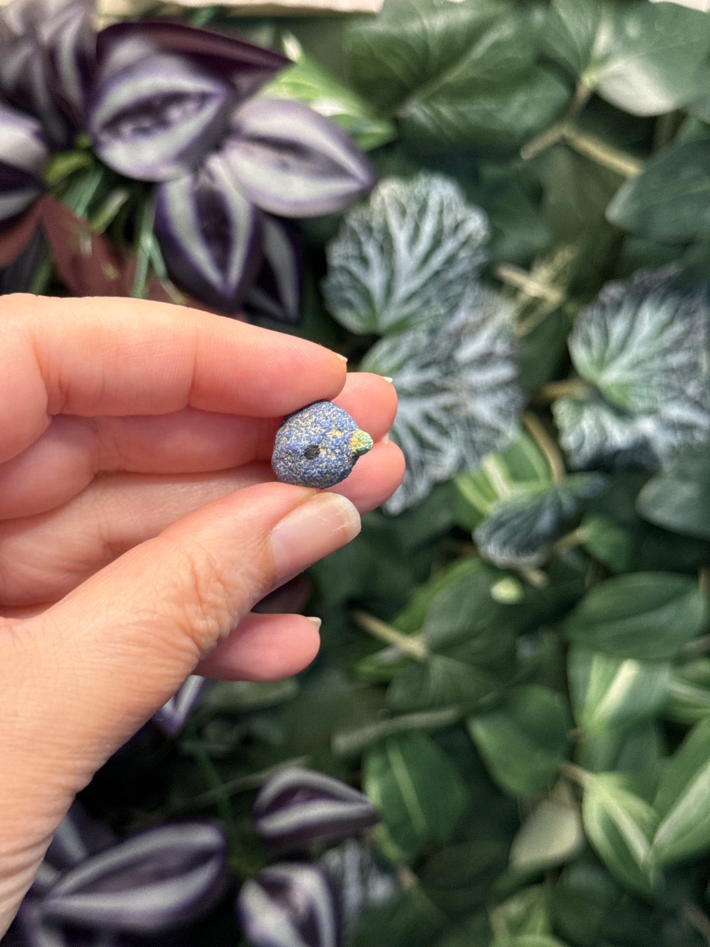 Azurite Blueberries