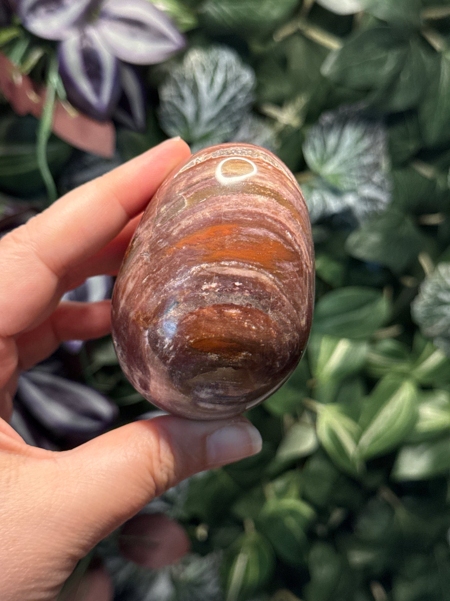 Petrified Wood Egg