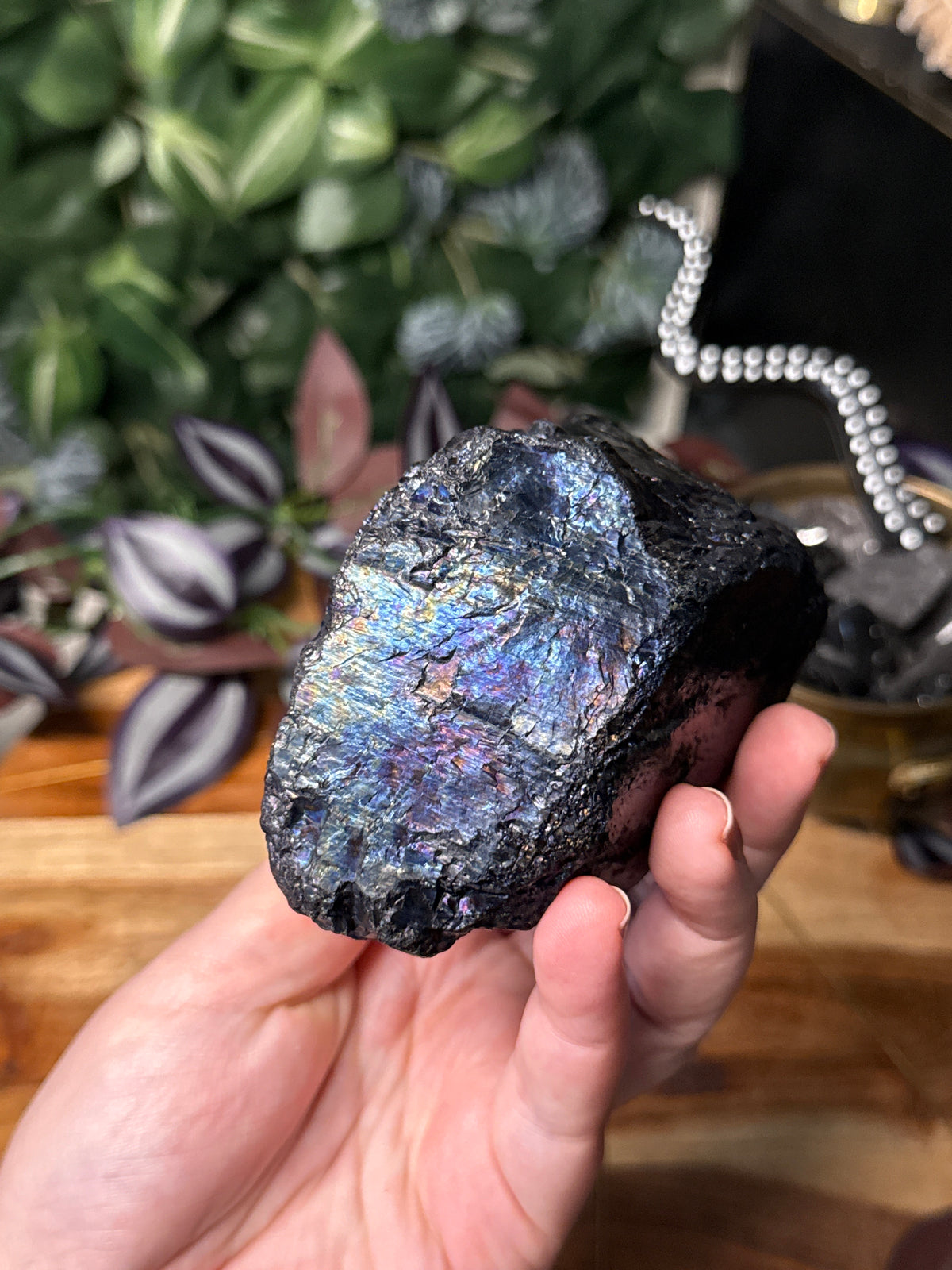 Peacock Coal