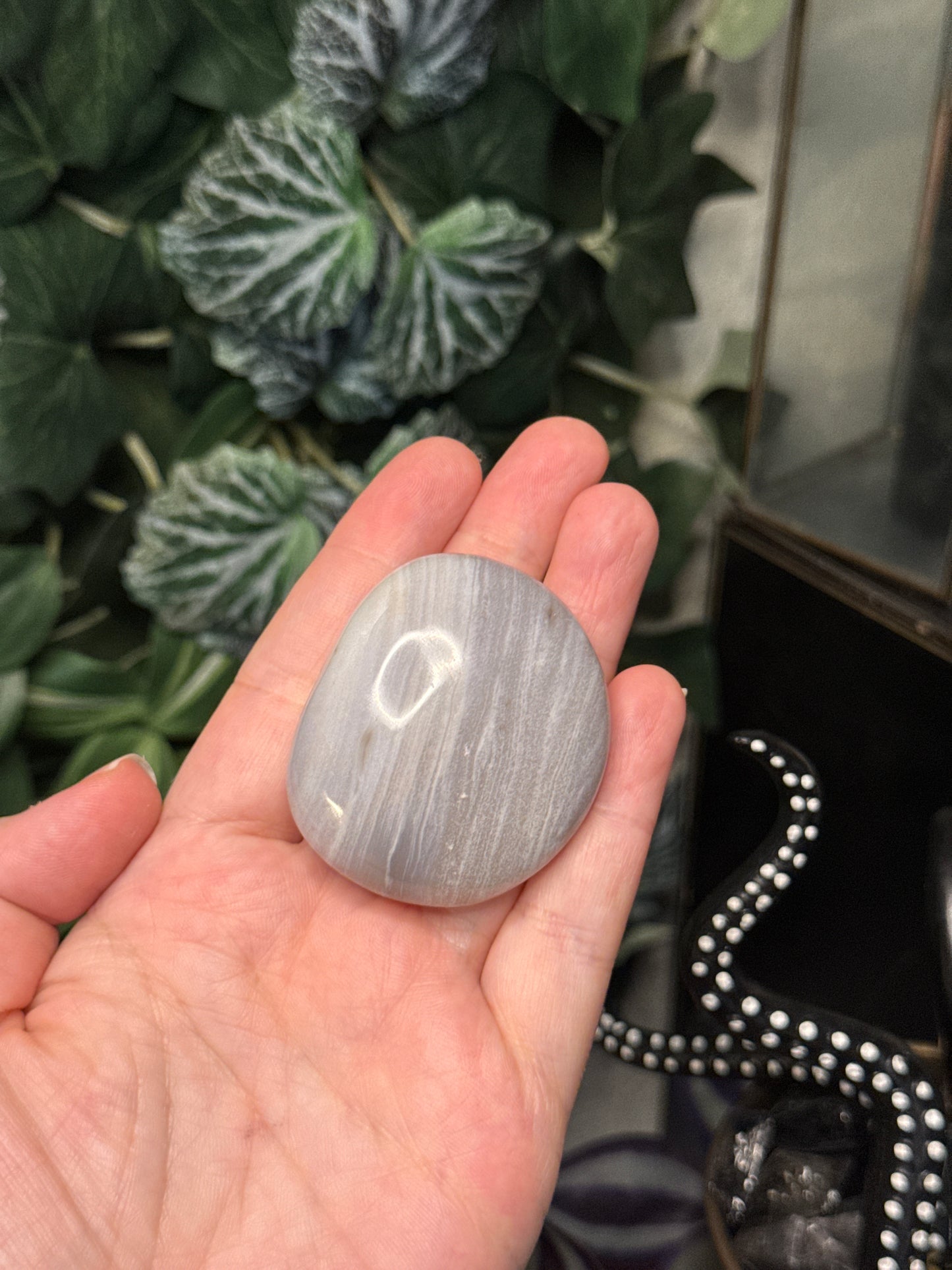 Ocean Jasper Palm Stones