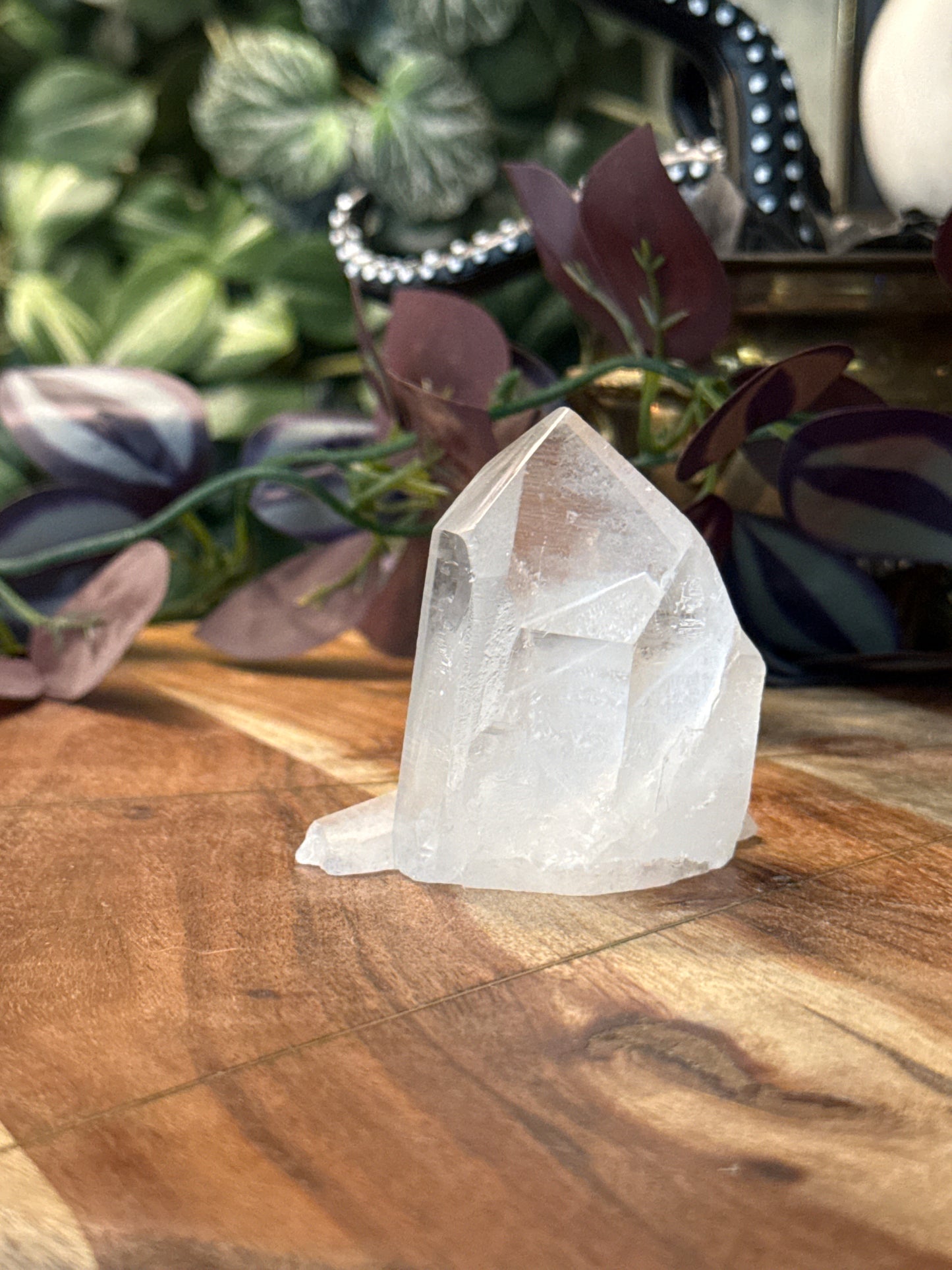 Clear Quartz Cluster
