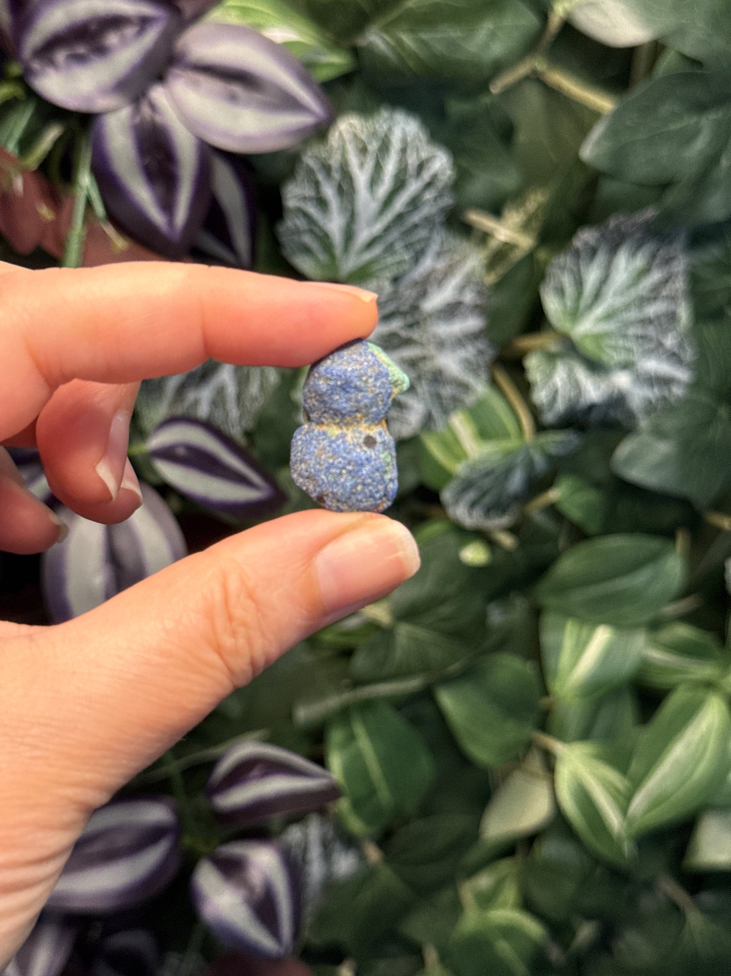 Azurite Blueberries
