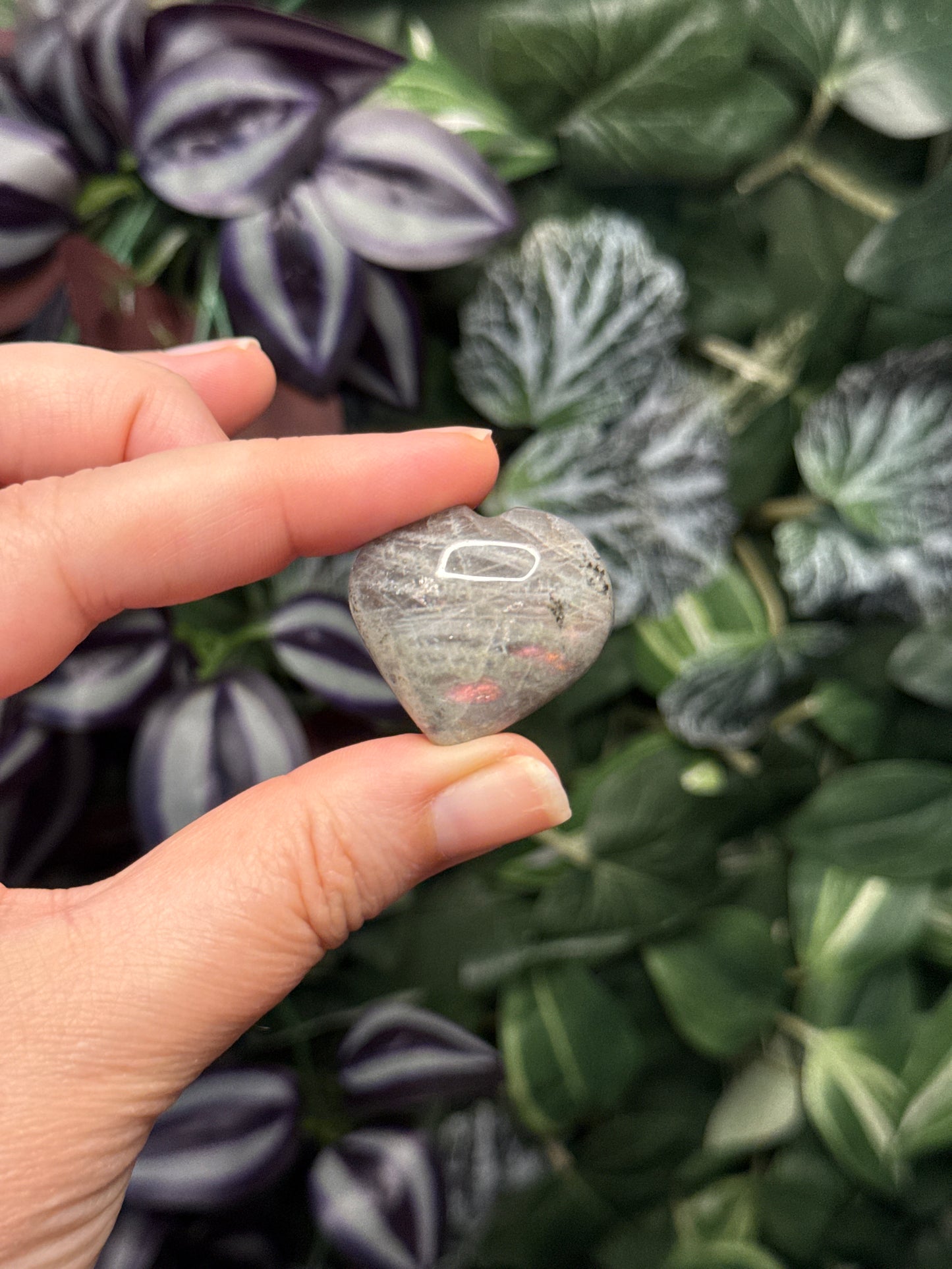 Labradorite hearts