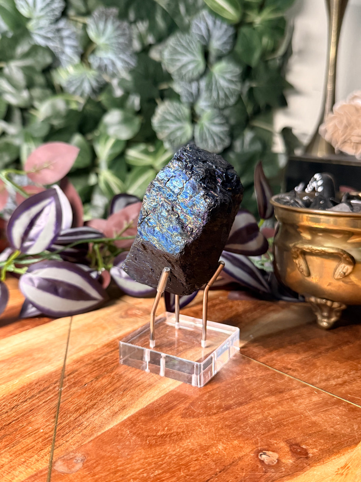 Peacock Coal