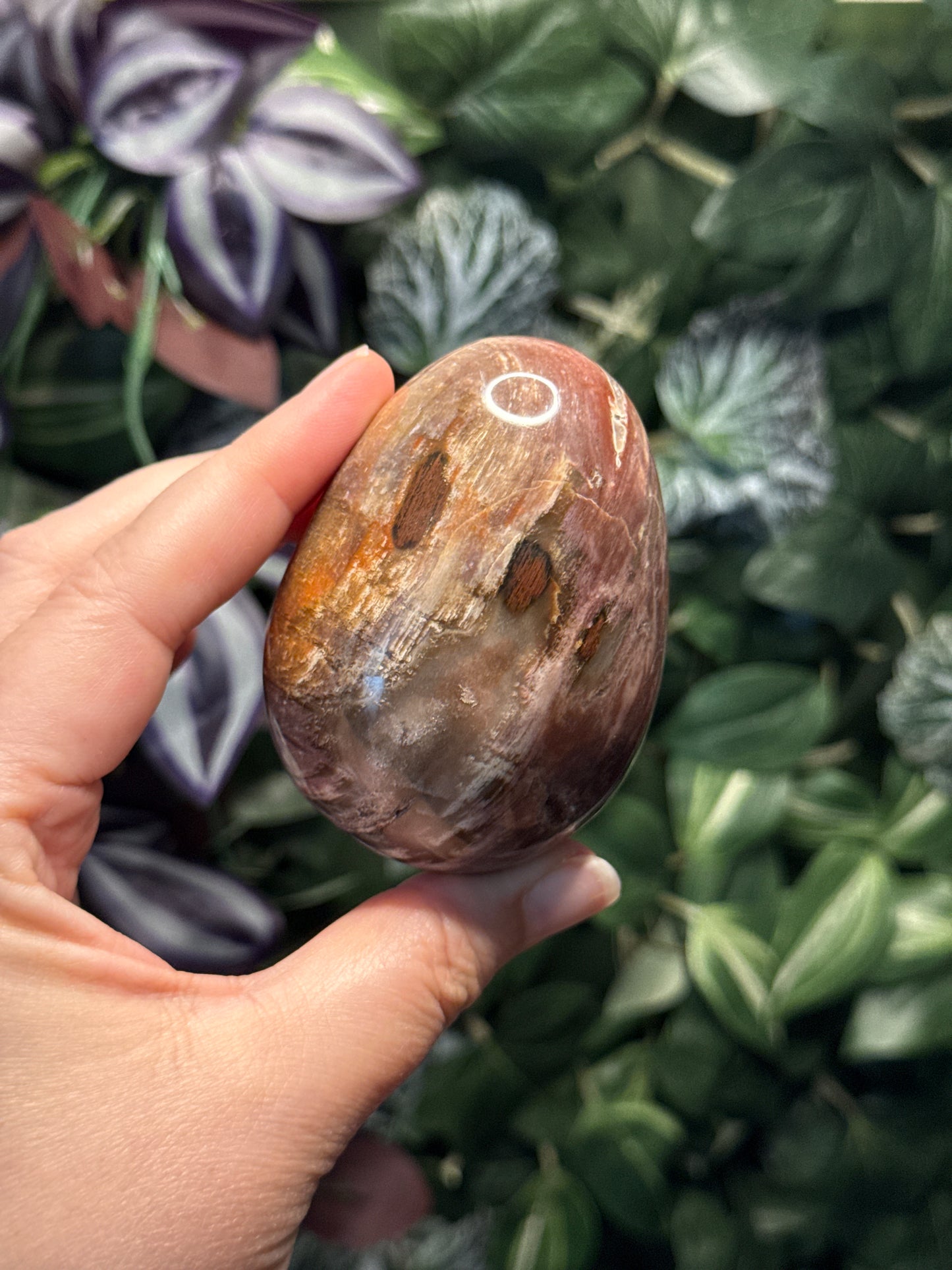 Petrified Wood Egg