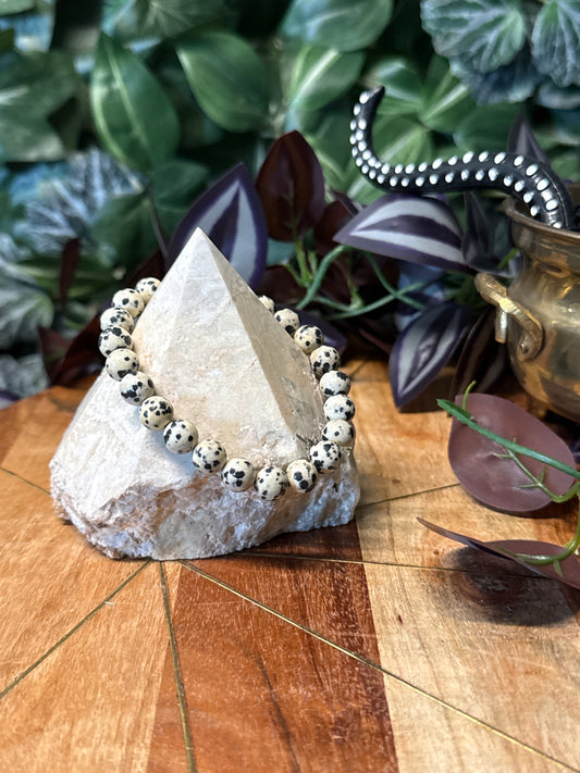 Dalmatian jasper bracelet