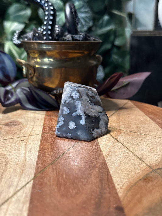 Black Flower Agate Freeforms