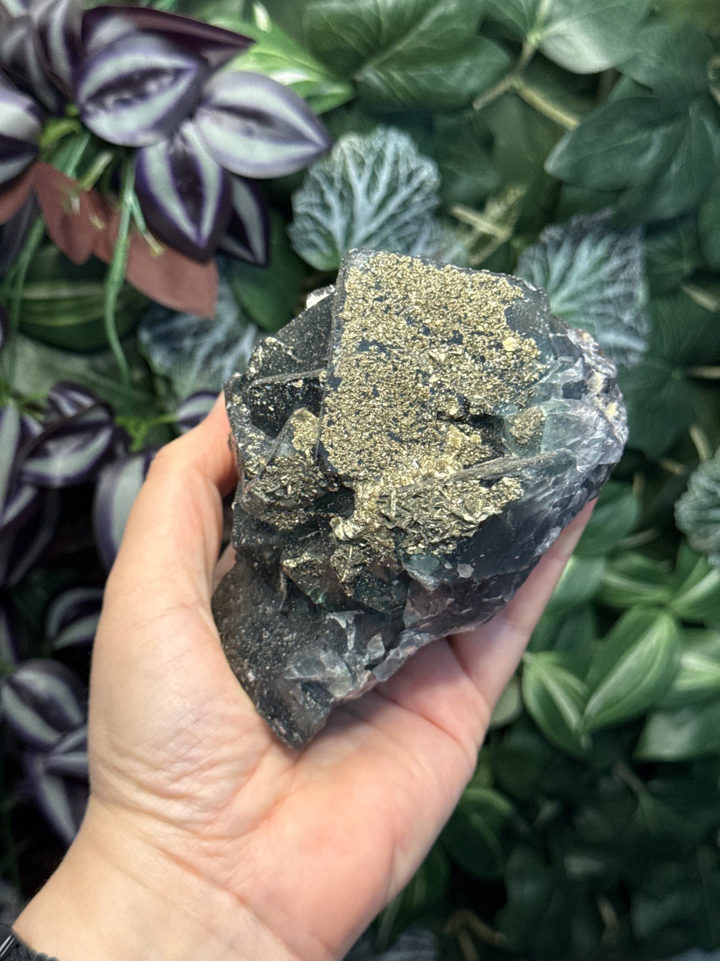 Daylight Fluorescent Fluorite with Pyrite