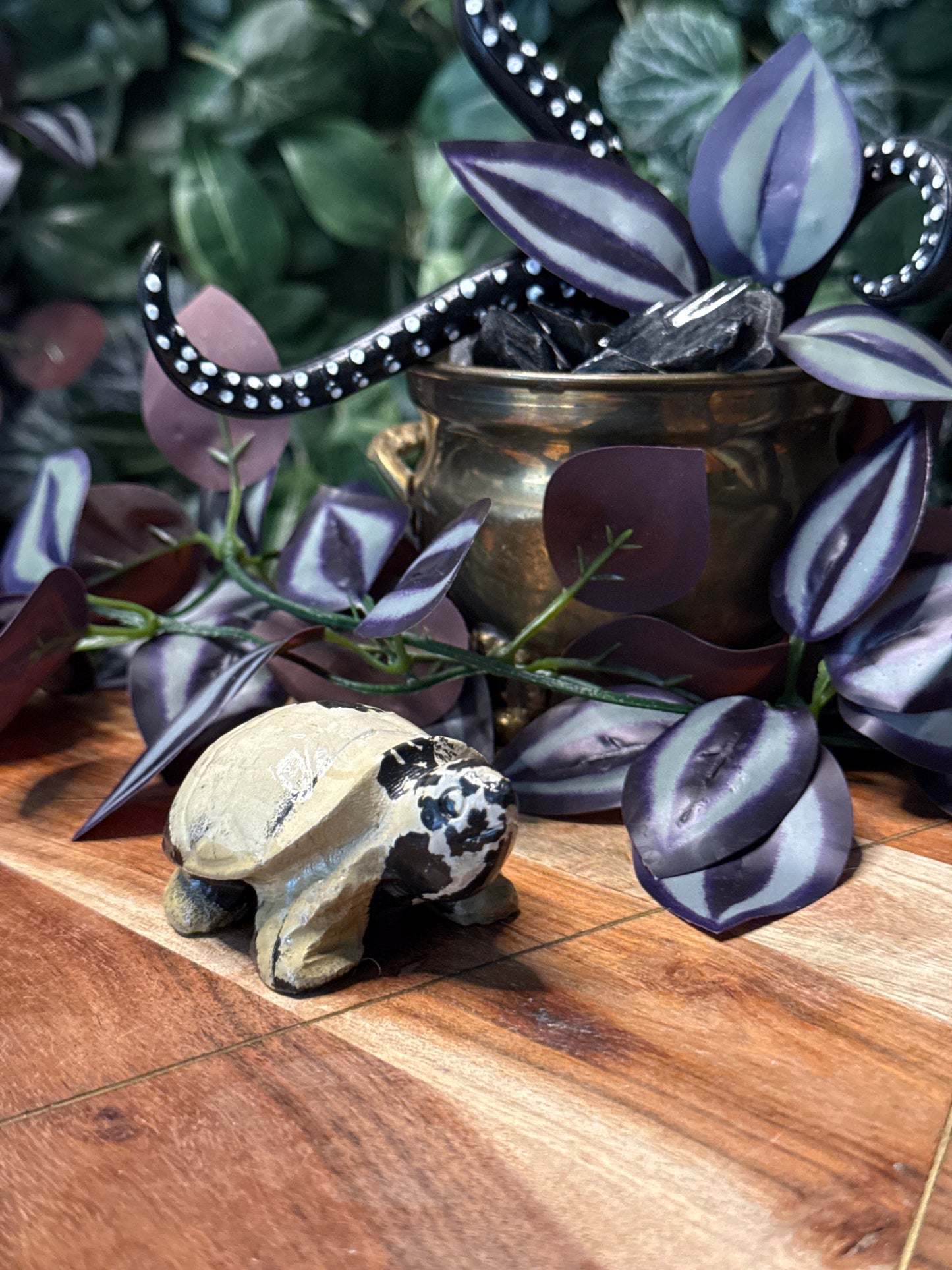 Picture Jasper Turtle