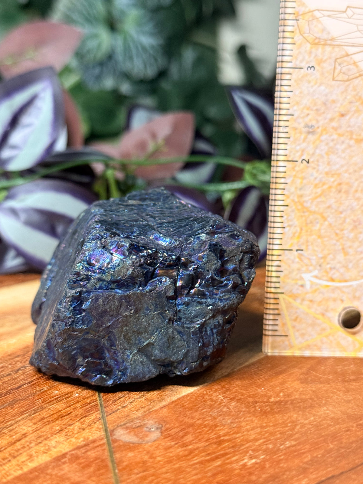 Peacock Coal