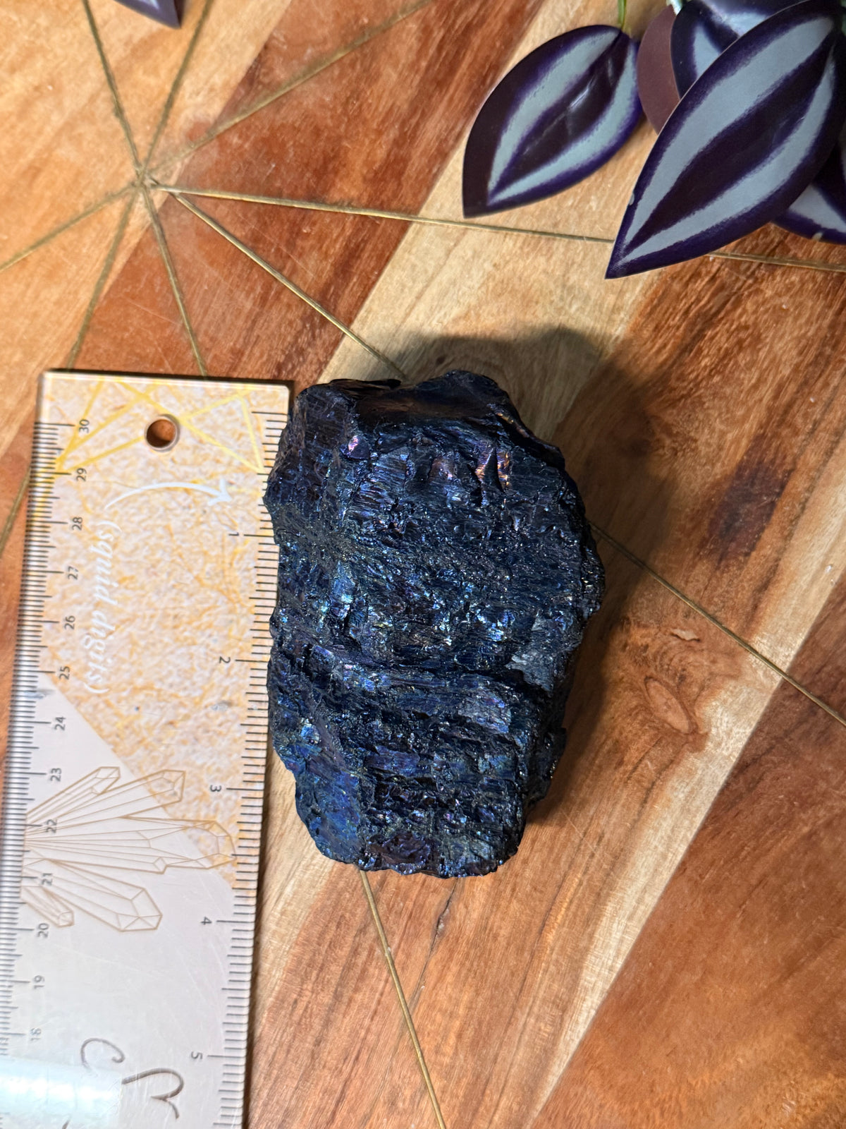 Peacock Coal
