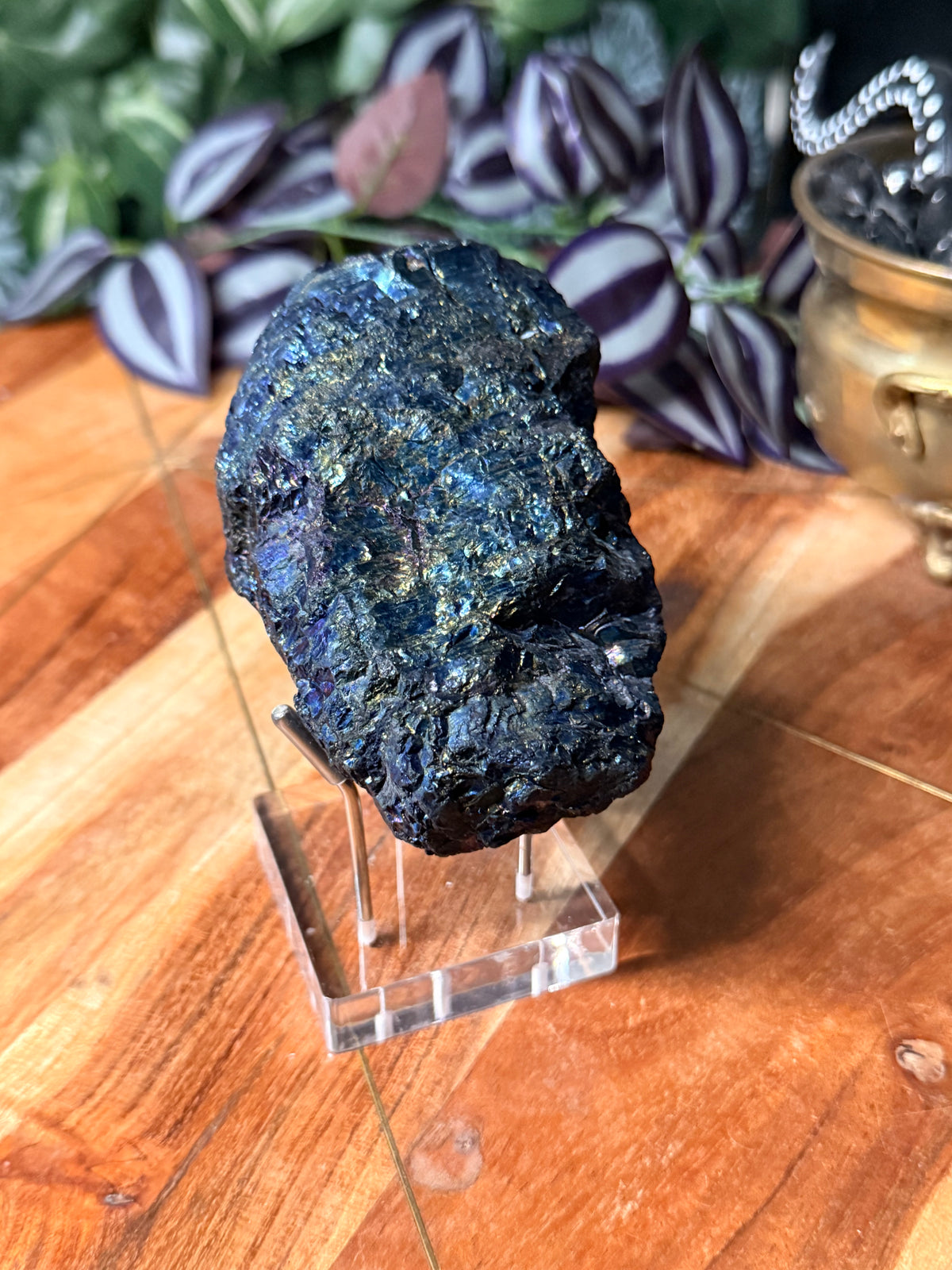 Peacock Coal