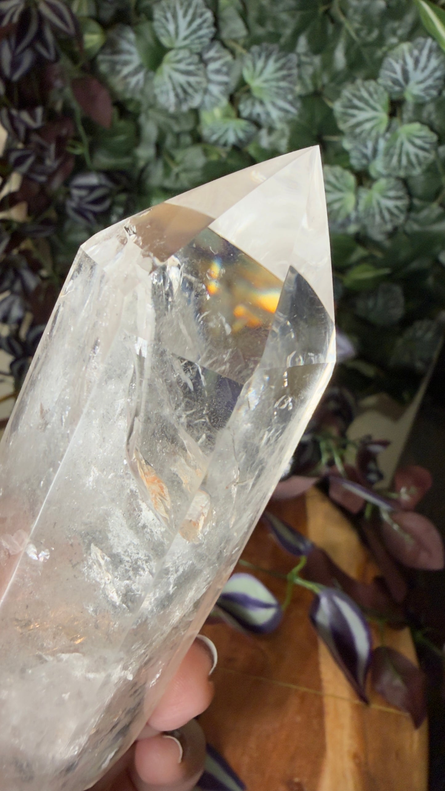 Clear quartz with black garden point