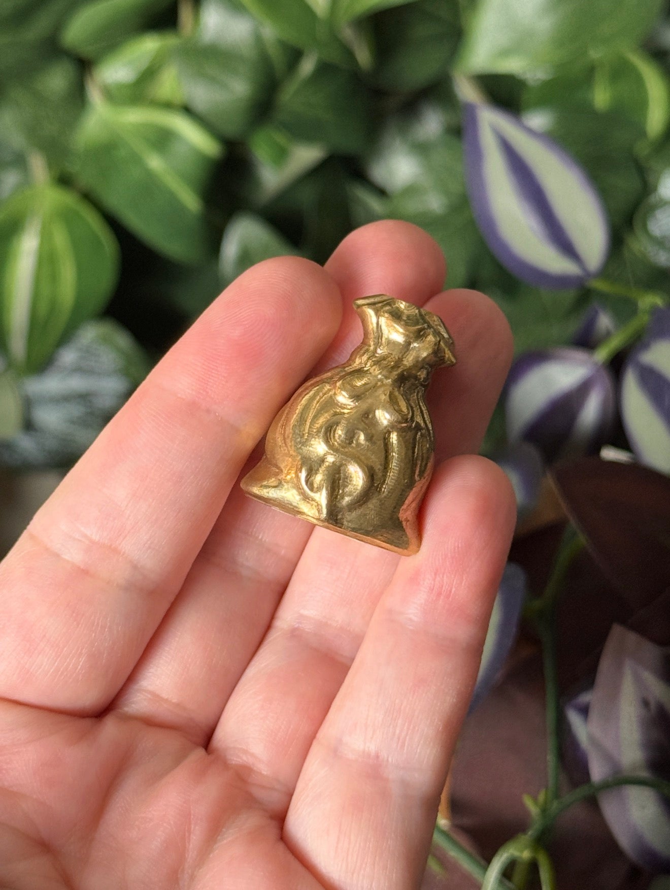 Pyrite money bag